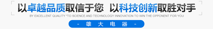 雄大開(kāi)關(guān)